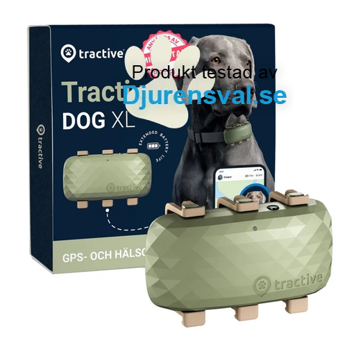 Tractive GPS Hund XL